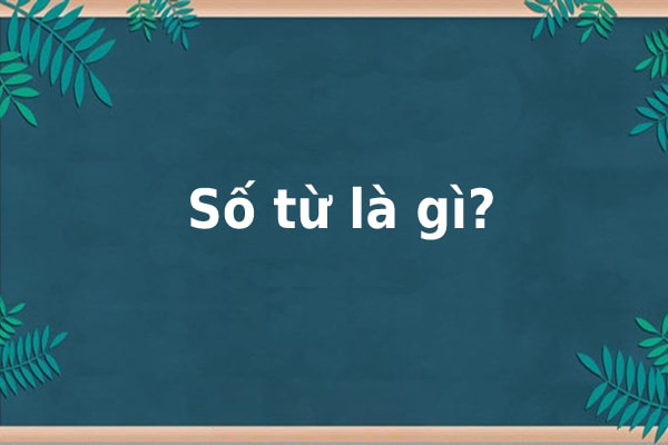 Khái Niệm Số Từ là gì? Lượng từ là gì? Ví dụ minh họa dễ hiểu nhất